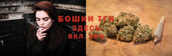 сатива Козловка