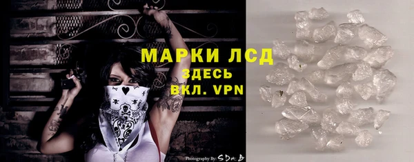 сатива Козловка