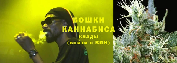 сатива Козловка