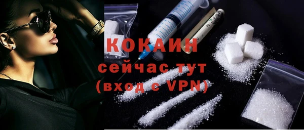 сатива Козловка
