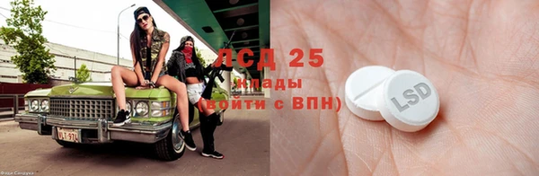 сатива Козловка