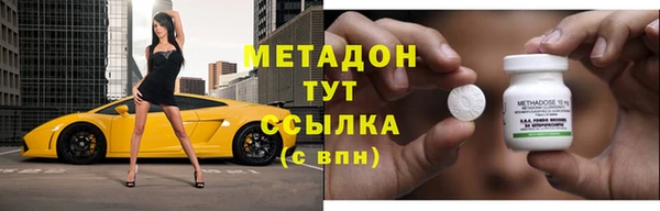 сатива Козловка