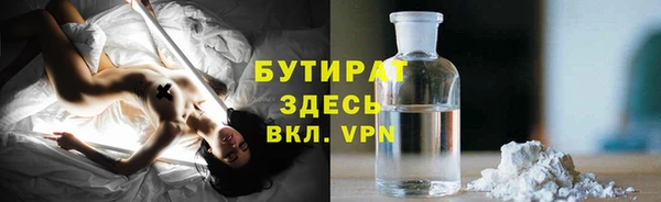 сатива Козловка