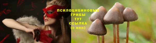 jwh Козельск