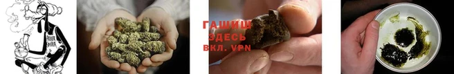 jwh Козельск